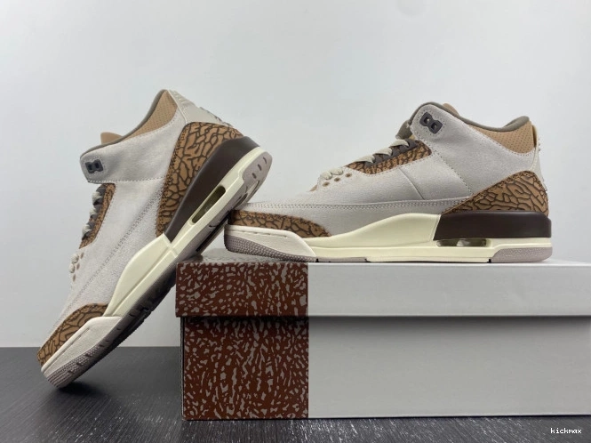 Rep Palomino 3 Jordan CT8532-102 Air 0713